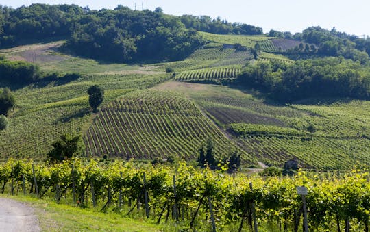 Milan countryside and wine tasting tour