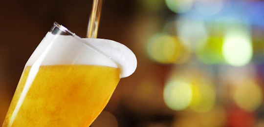 Guided tour of BVS brewery with tasting