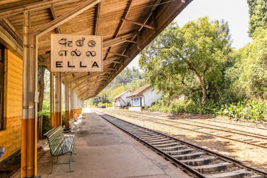 Nuwara Eliya tea route by train and private vehicle from Ella