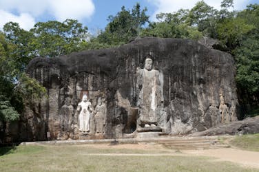 Сафари по национальному парку Яла и экскурсия по скальному храму Будурувагала от Эллы