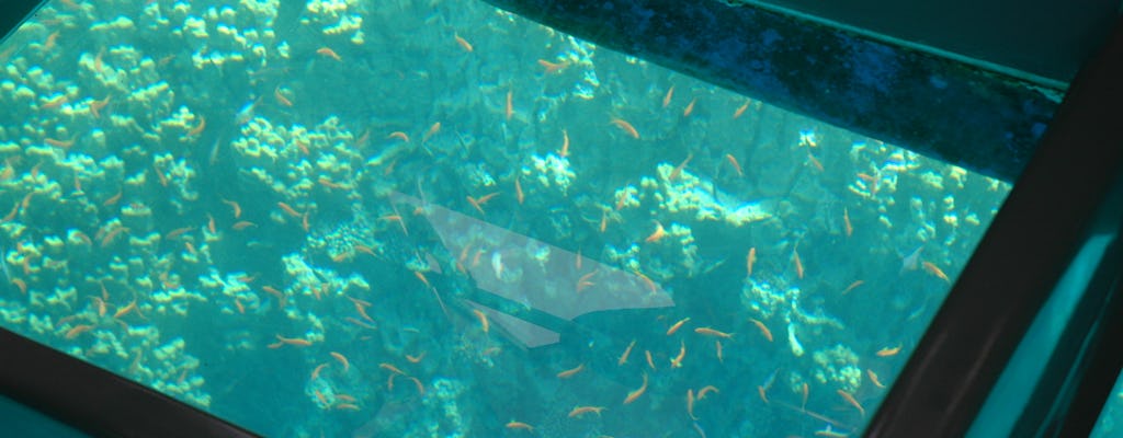 Crucero con fondo de cristal en Aqaba