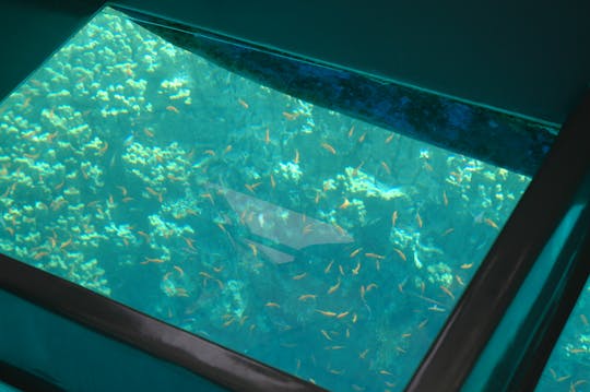 Crucero con fondo de cristal en Aqaba