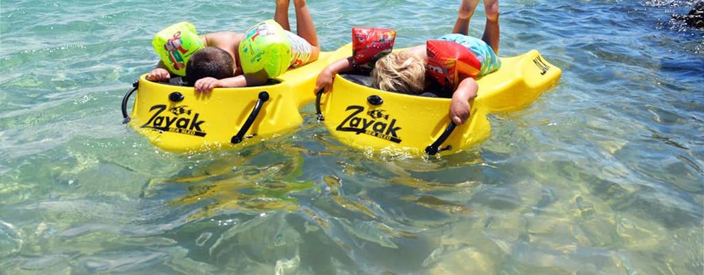 Zayak - nurkowanie z łodzi z przeszklonym dnem