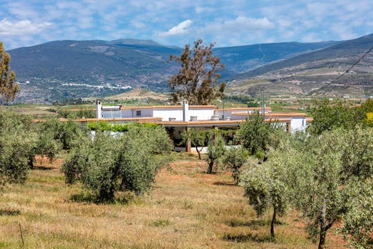 Ruta de Vinos y Tapas de Almería