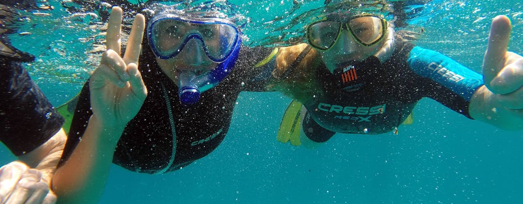 Experiencia de snorkel en Corralejo
