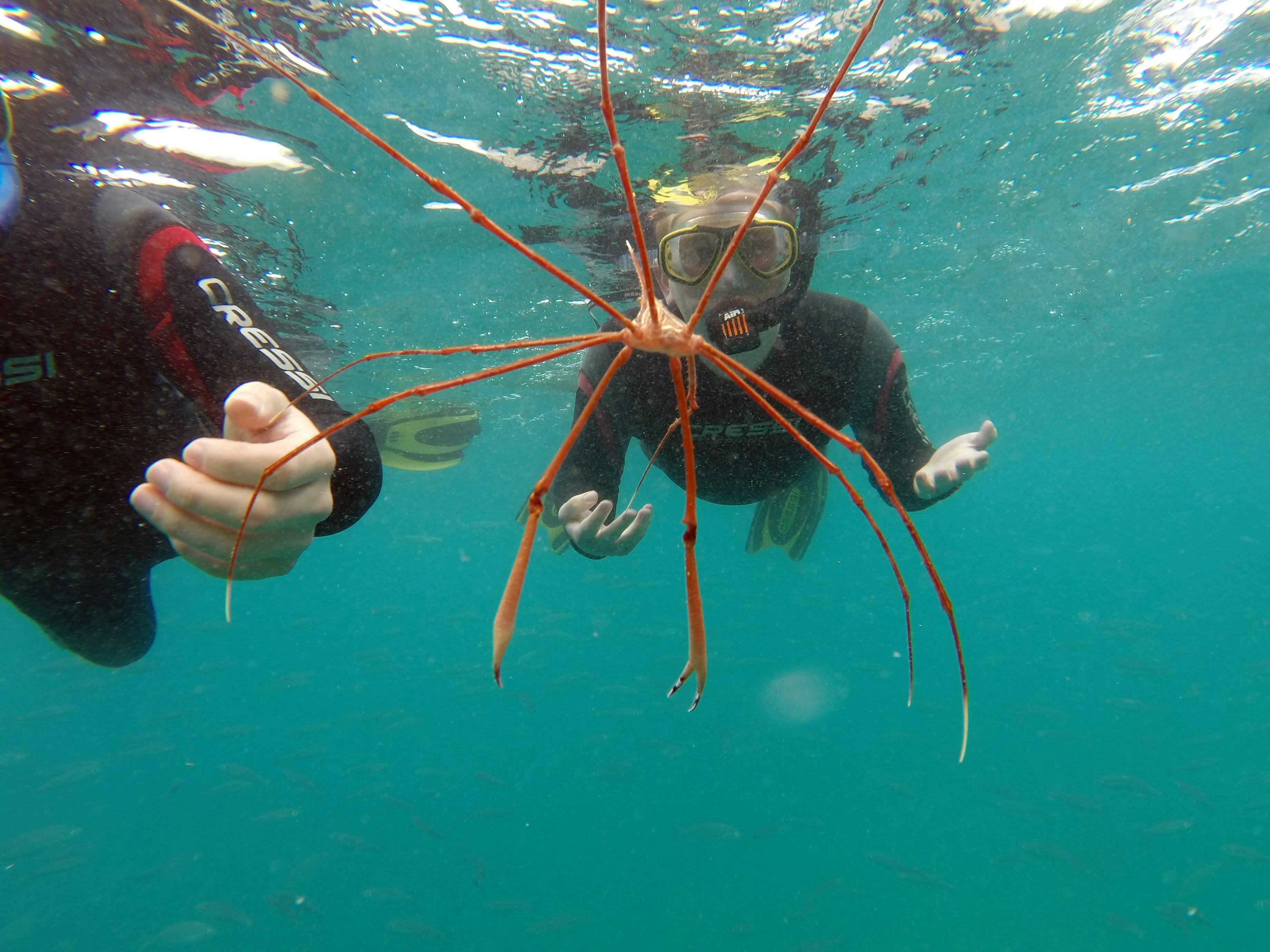 Snorkelling