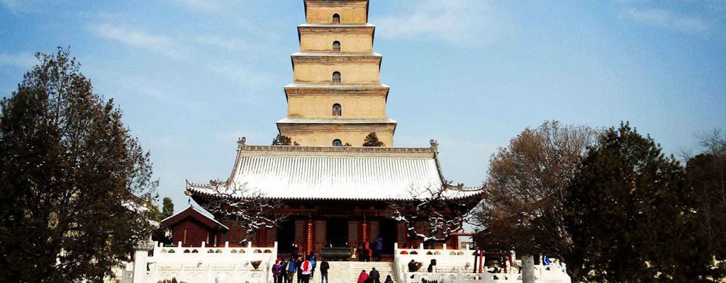 Xian private Tour durch Terrakotta-Krieger, Stadtmauer und Wildgans-Pagode