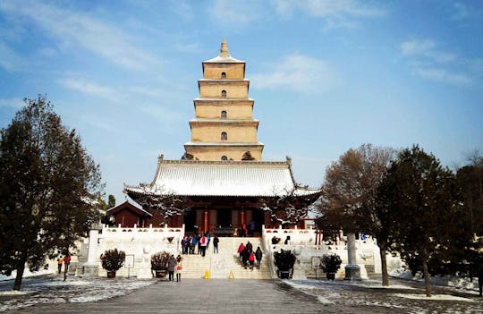Xian private tour of  Terracotta Warriors, City Wall and Wild Goose Pagoda