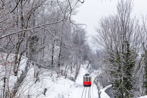 202010285f9993f1aafea.jpg