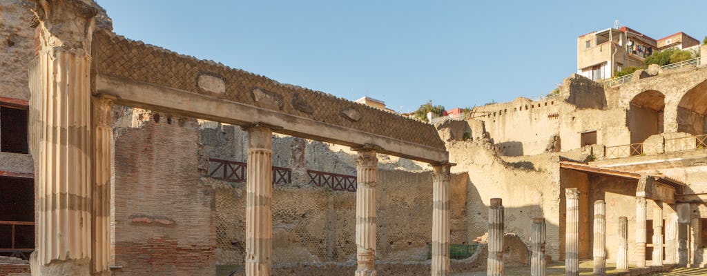 Visite en petit groupe d'Herculanum avec un archéologue