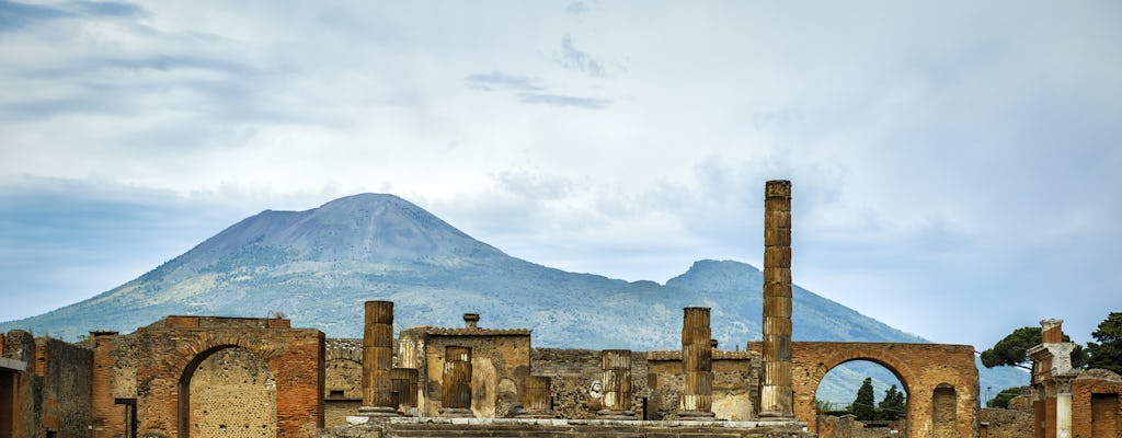 Tour salta fila per piccoli gruppi di Pompei e Vesuvio