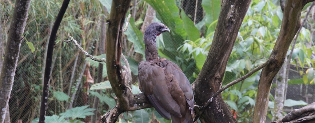 Visita guiada a la Reserva Natural Matute