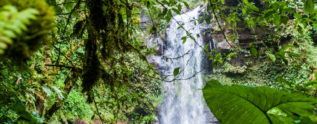 Panama's deep jungle excursion