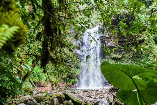 Panama's deep jungle excursion