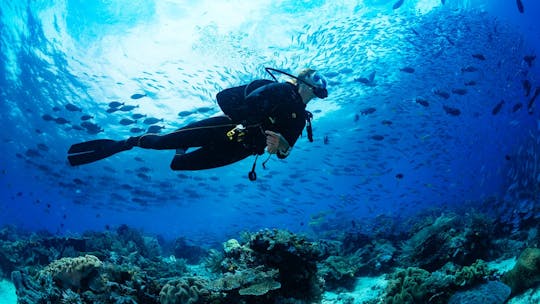 Plongée sous-marine à Alanya