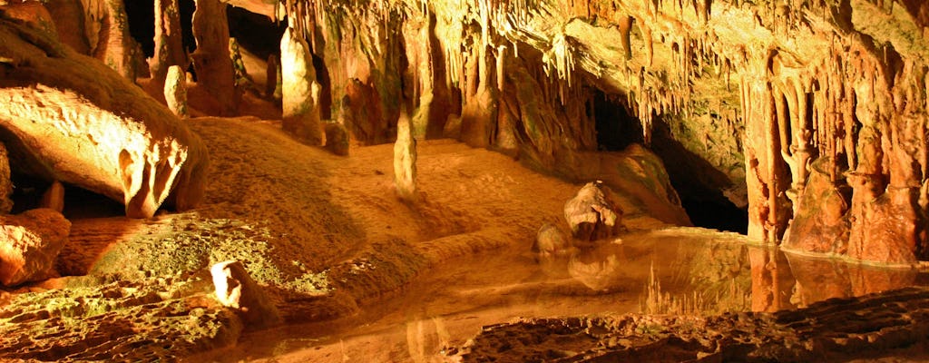 Entrada a las cuevas de Can Marça