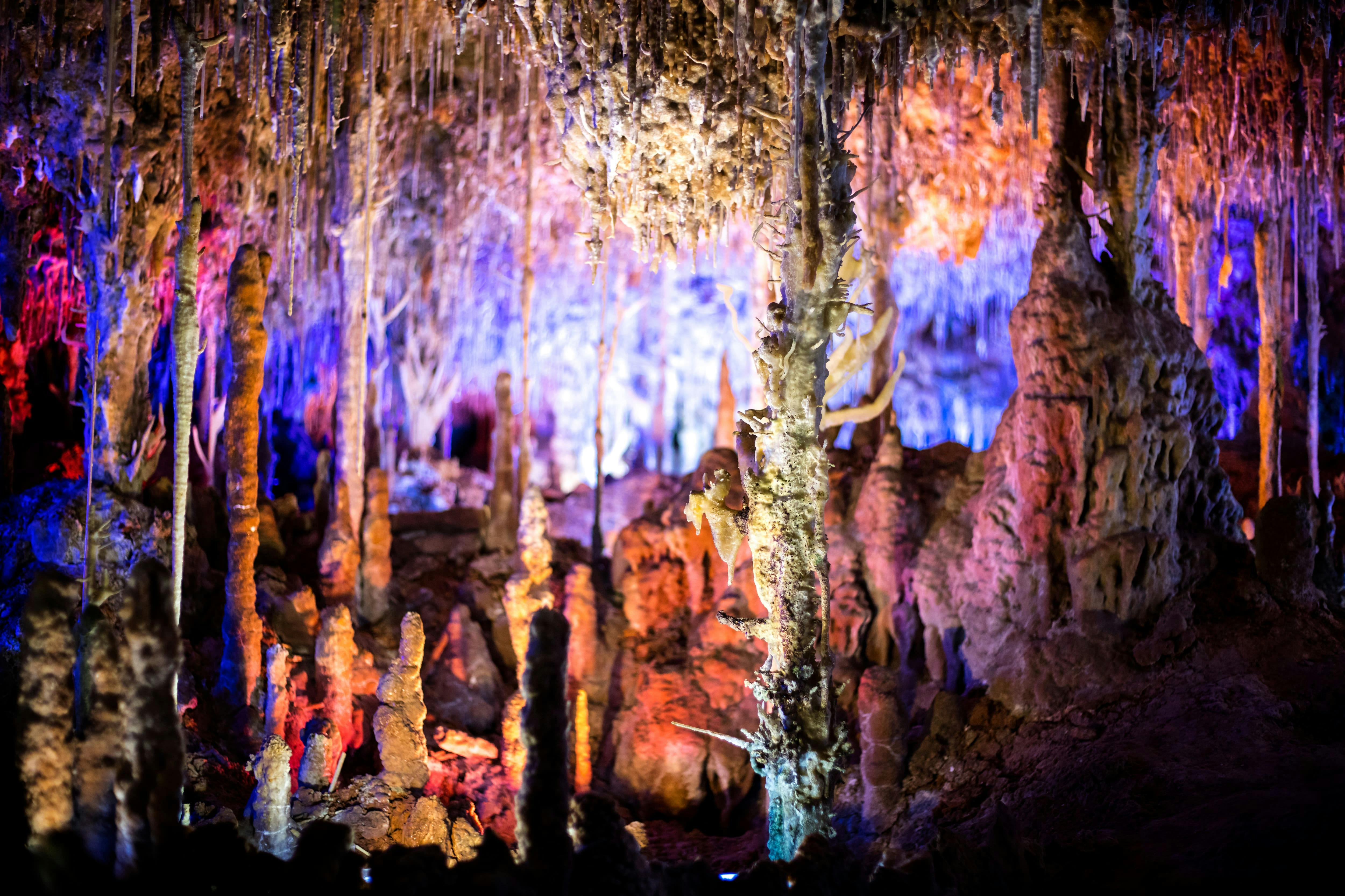 Entrada Cuevas del Hams de Mallorca