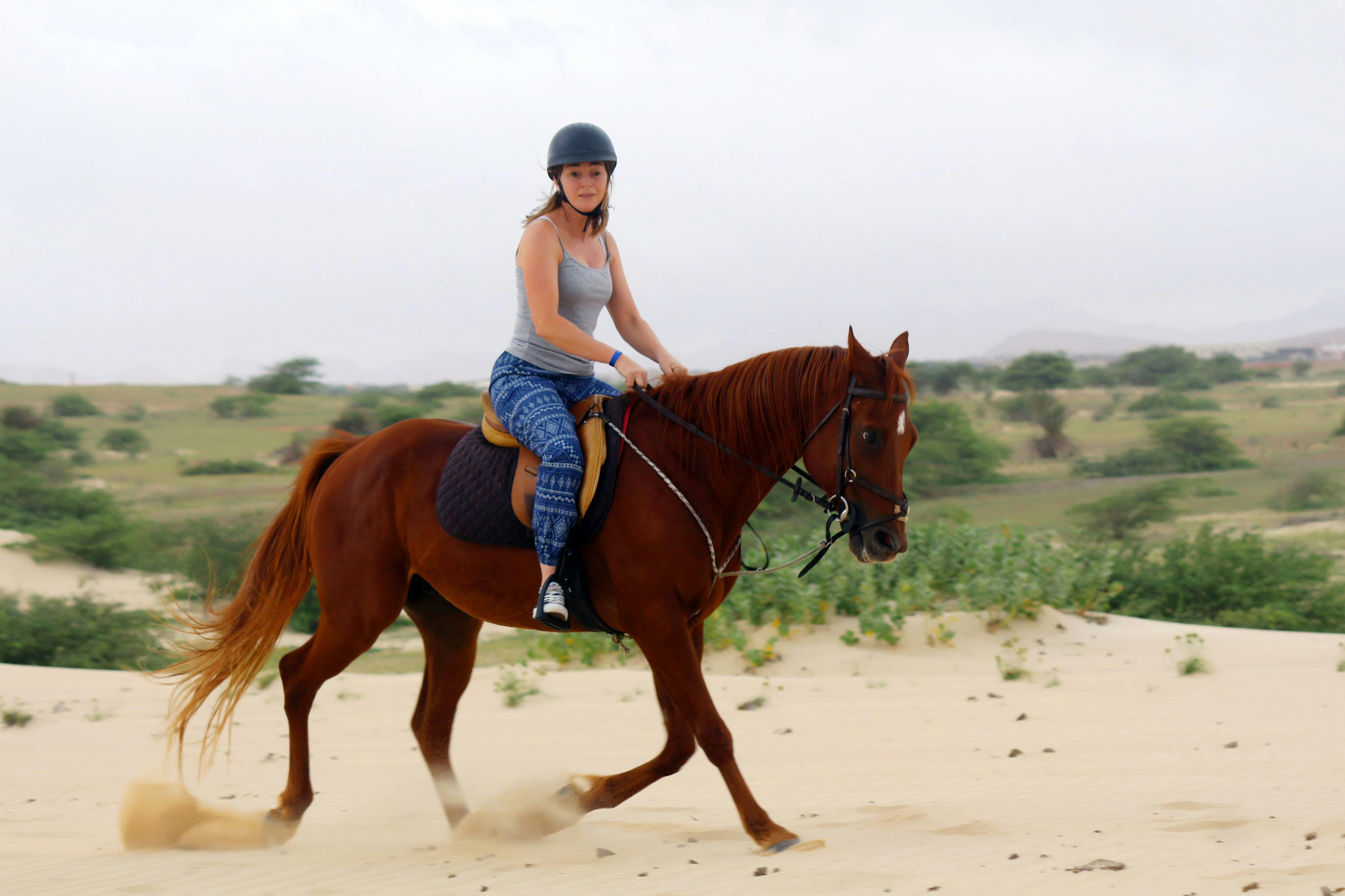 Esperienza di equitazione a Boa Vista