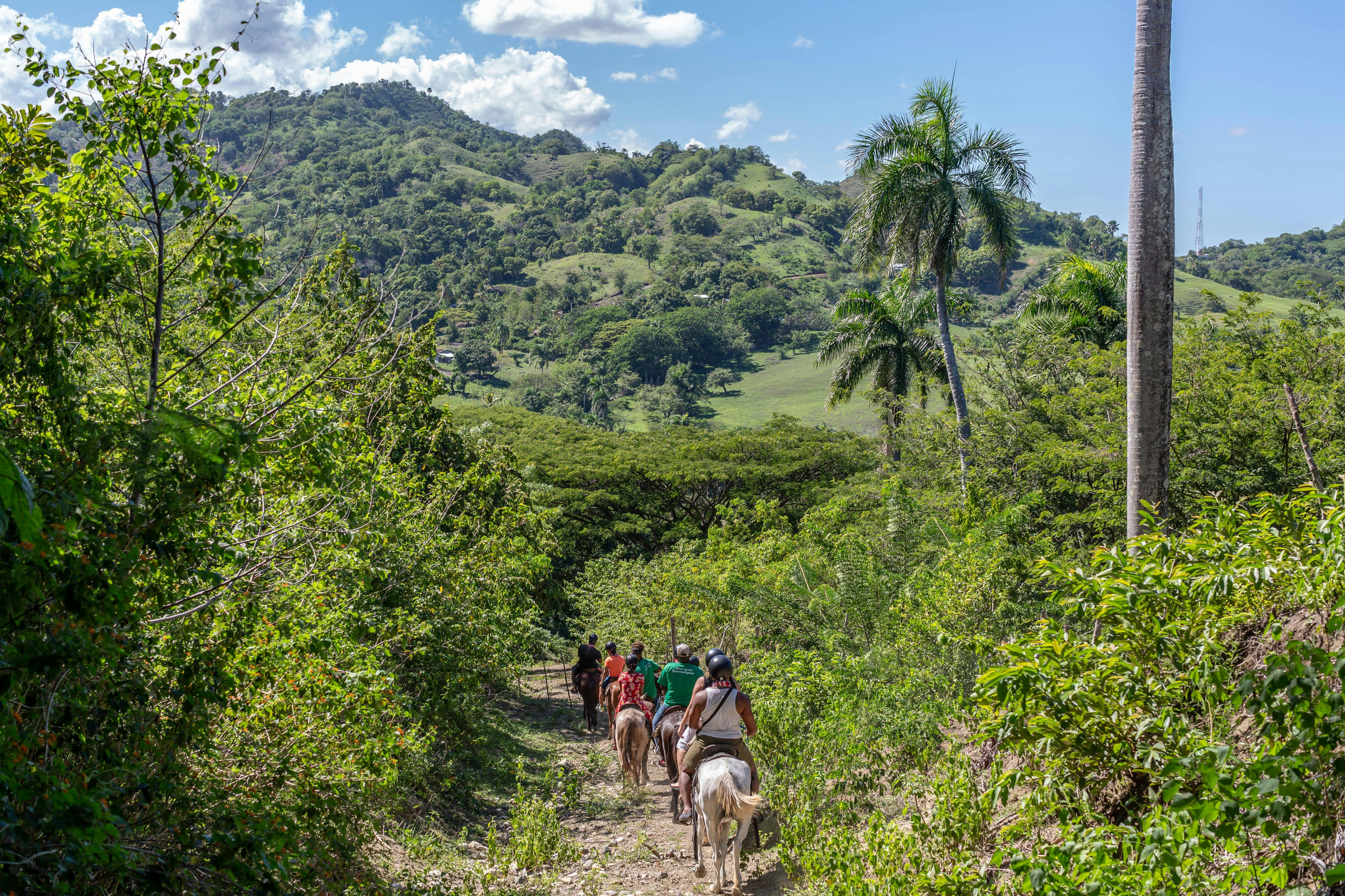 Paseo a caballo por la montaña dominicana