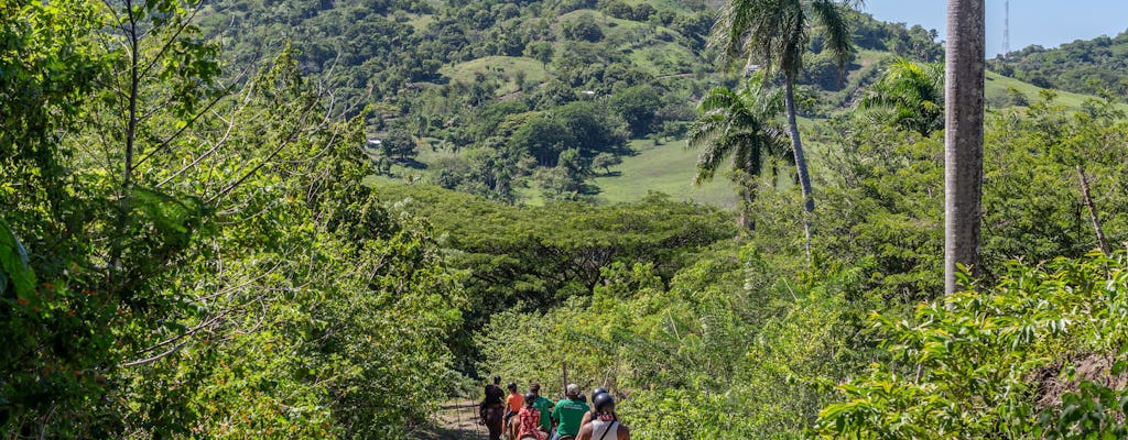 Paseo a caballo por la montaña dominicana