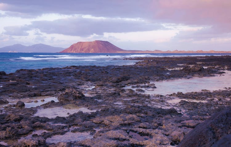 Lobos Island and Dolphin Watching Trip