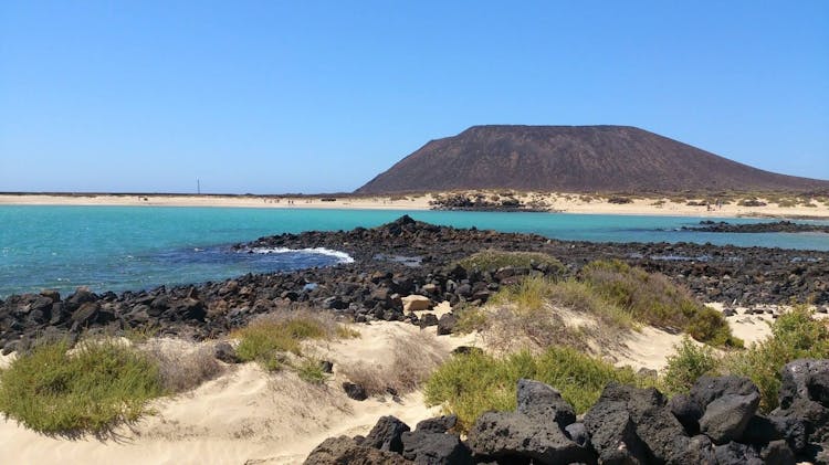 Lobos Island and Dolphin Watching Trip