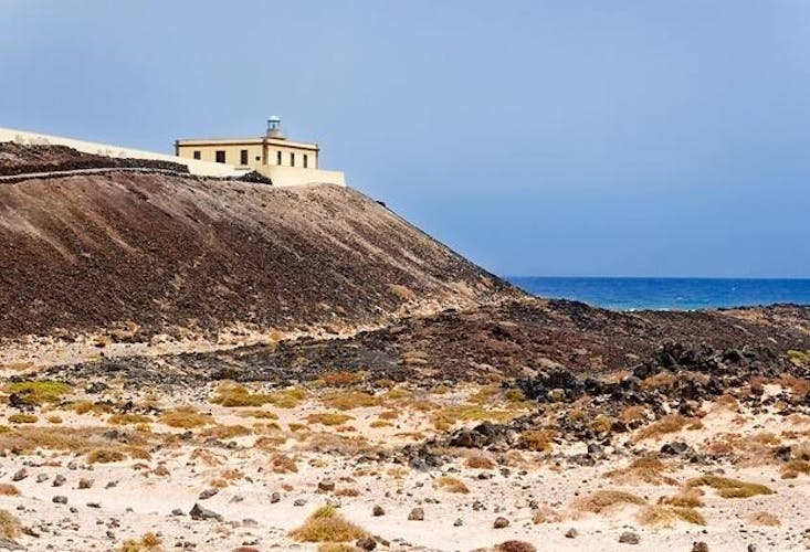 Lobos Island and Dolphin Watching Trip