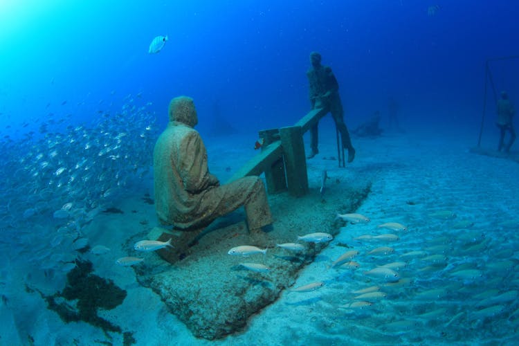 Try Dive and Museo Atlántico