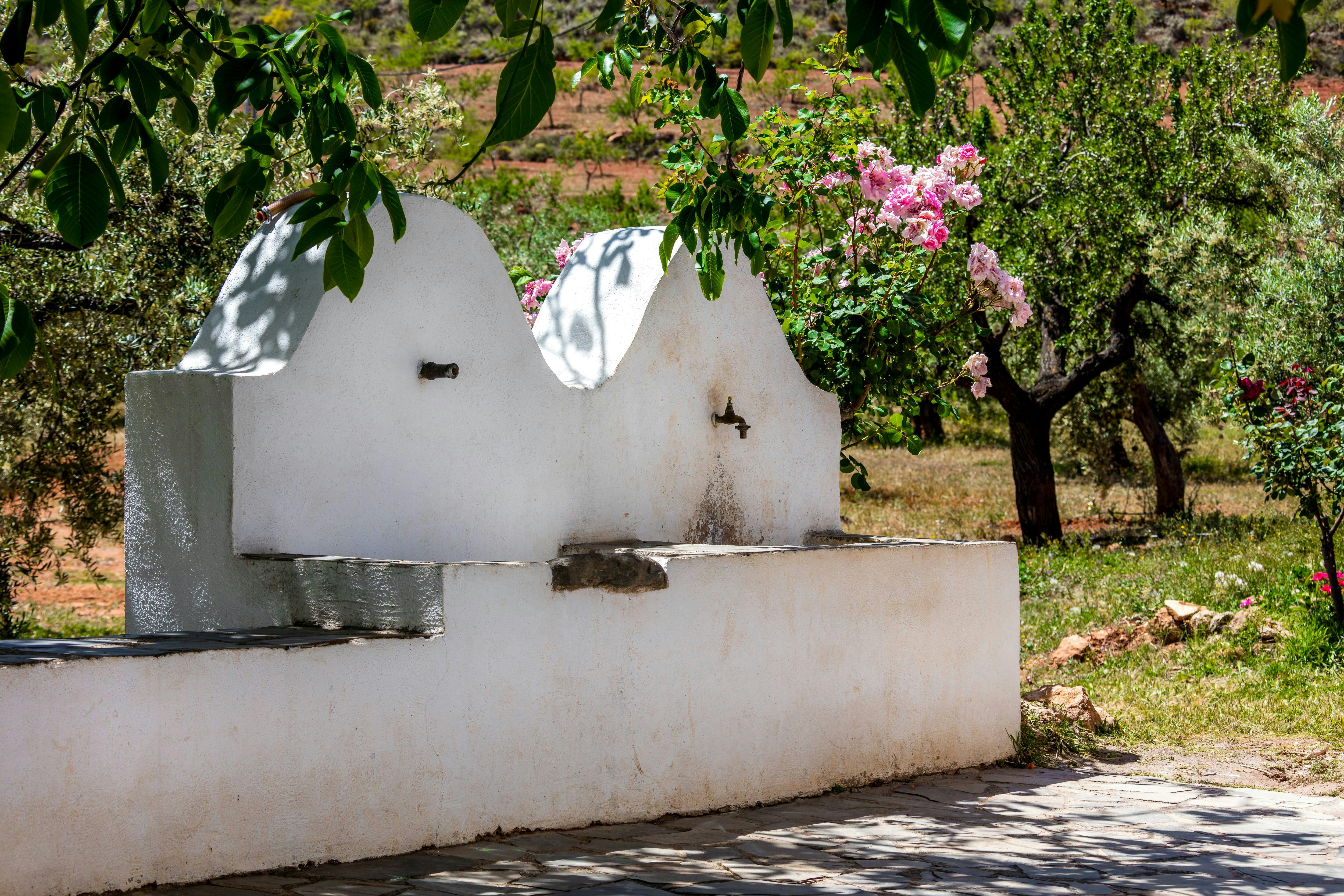 Almeria Wine & Tapas Tour