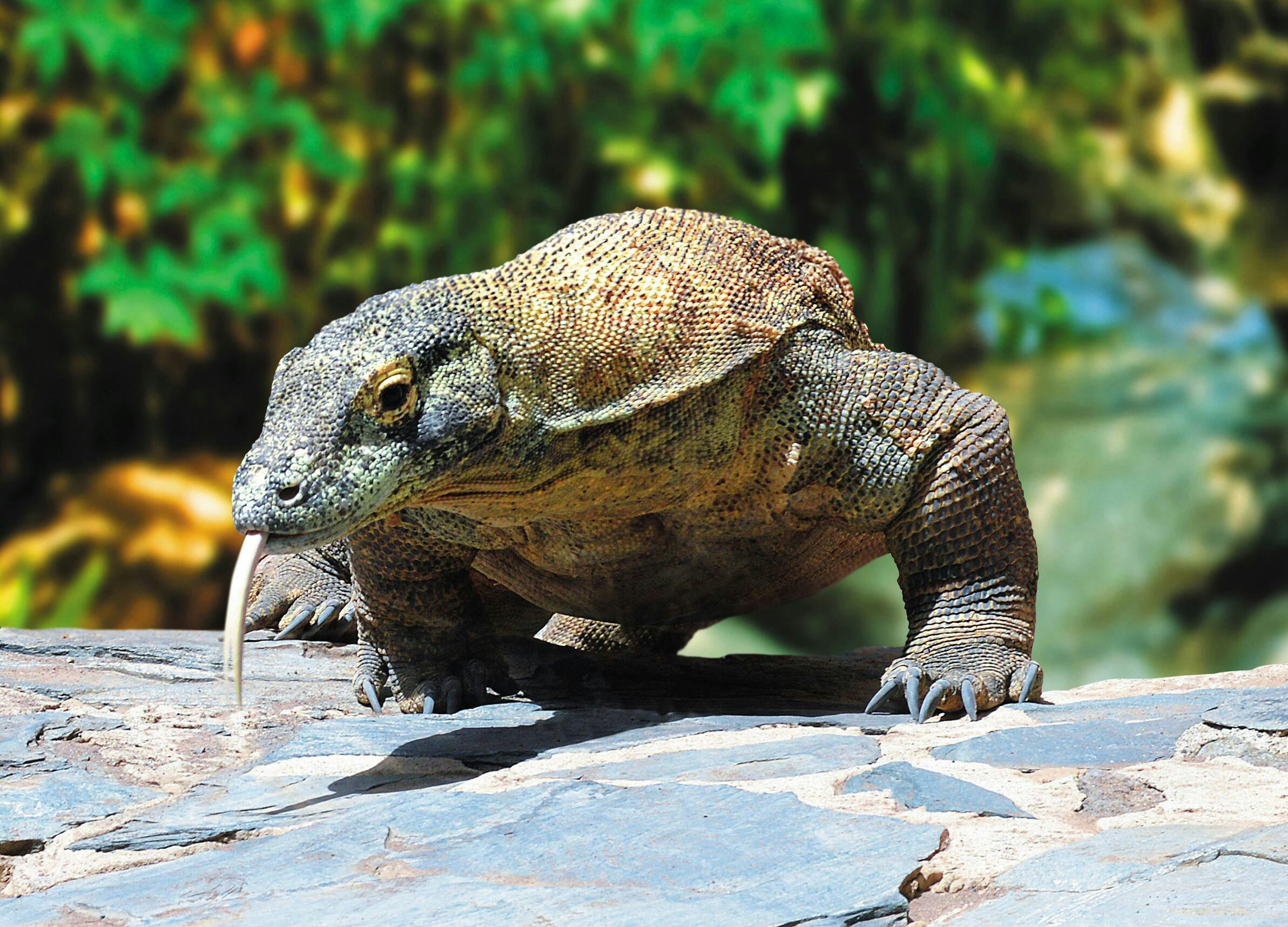 Aqualand & Palmitos TUI Package