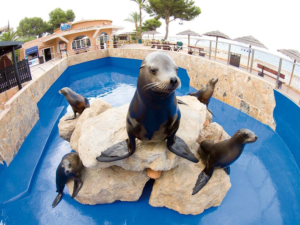 Marineland with Transfer