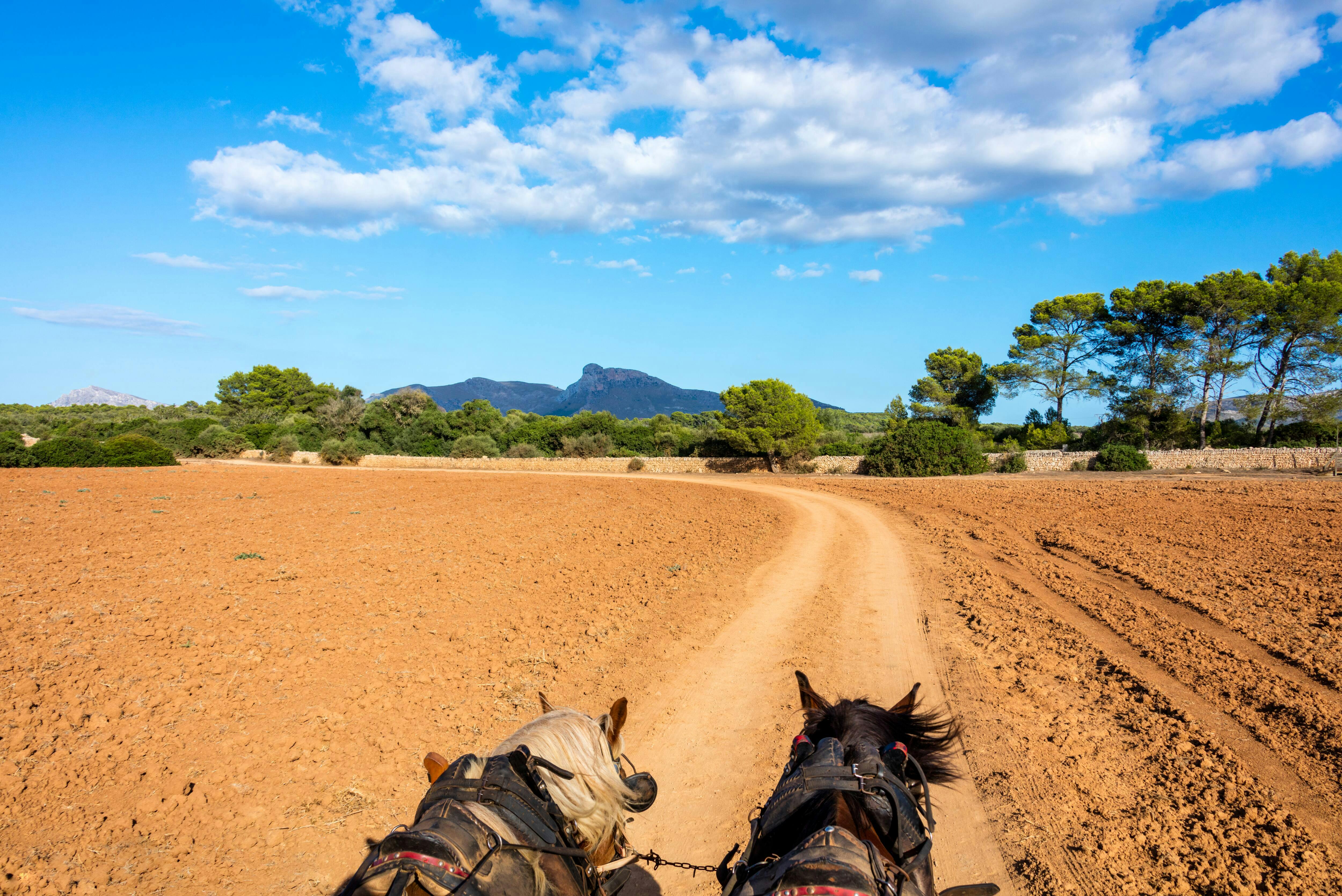 Rancho Grande