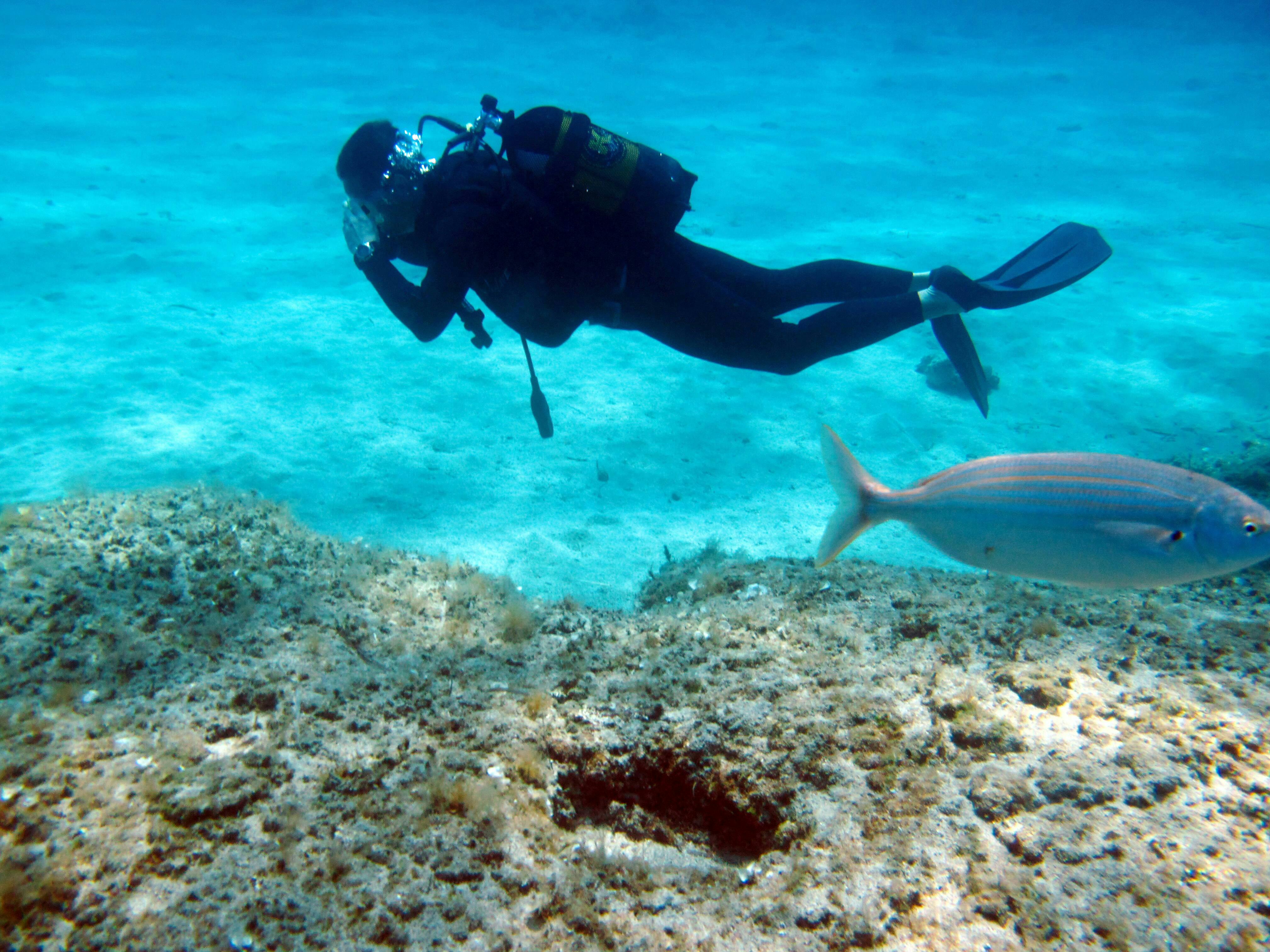 Scuba Diving Rhodes