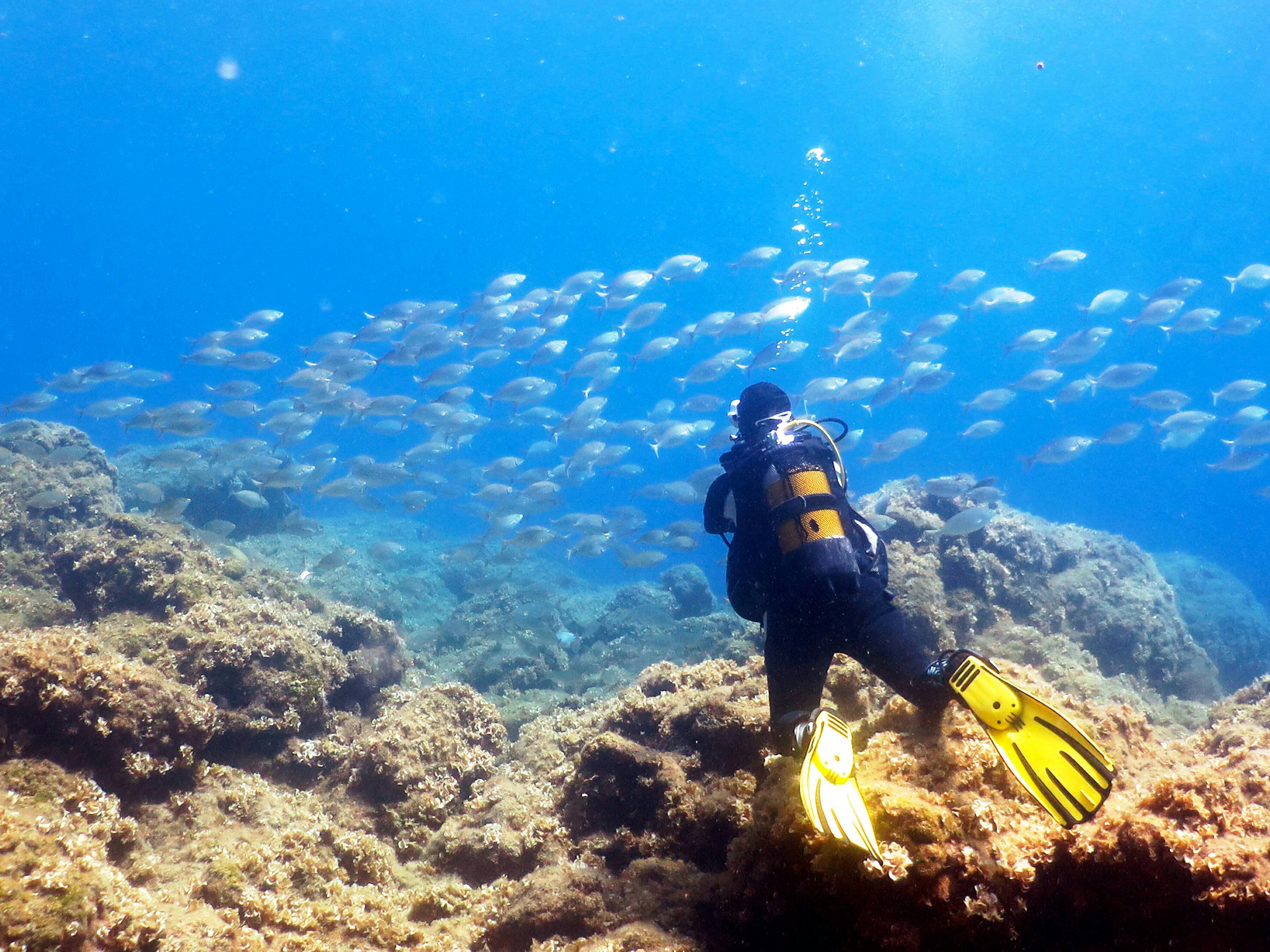 Scuba Diving Rhodes