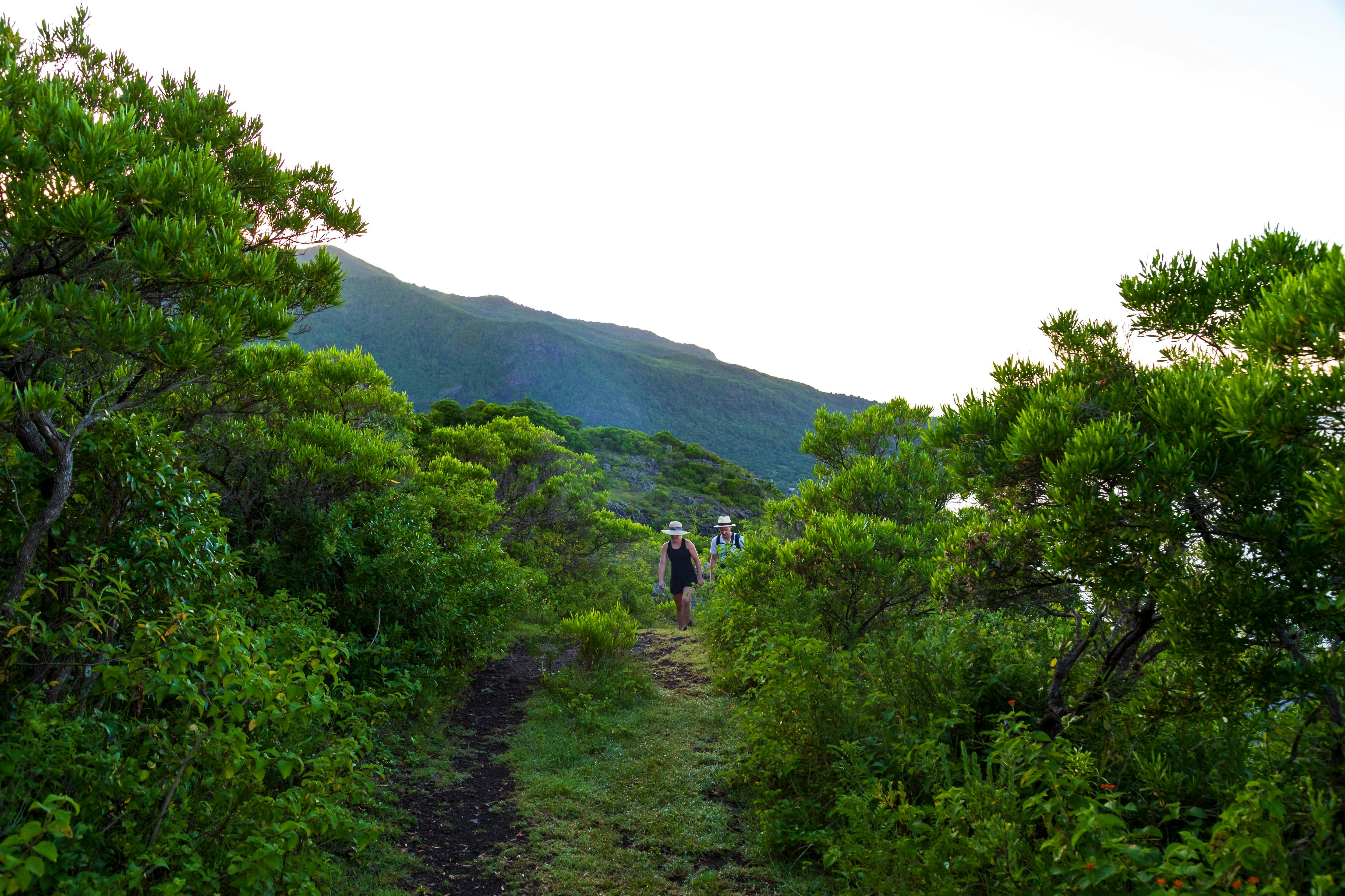 Samos Coastal Walk and Beaches