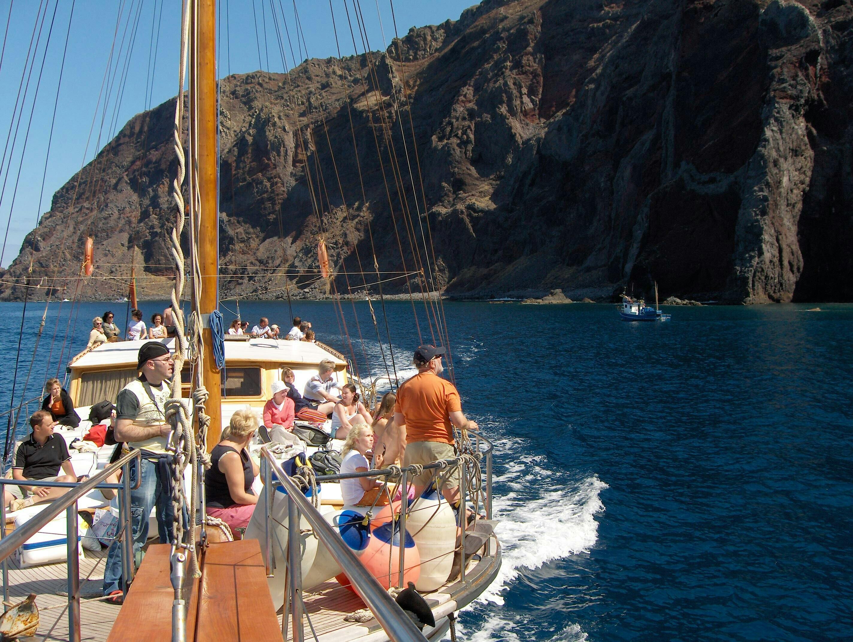 Tour dei delfini e delle balene a Madeira