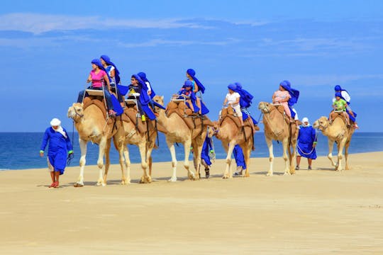 Caminata por el desierto de Baja y tour en camello