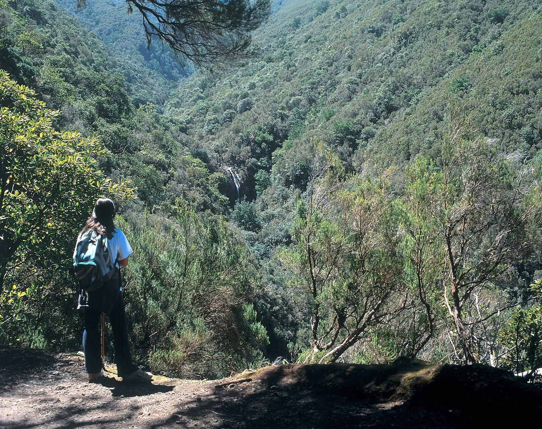 Caldeirão Verde Walk (from the West)