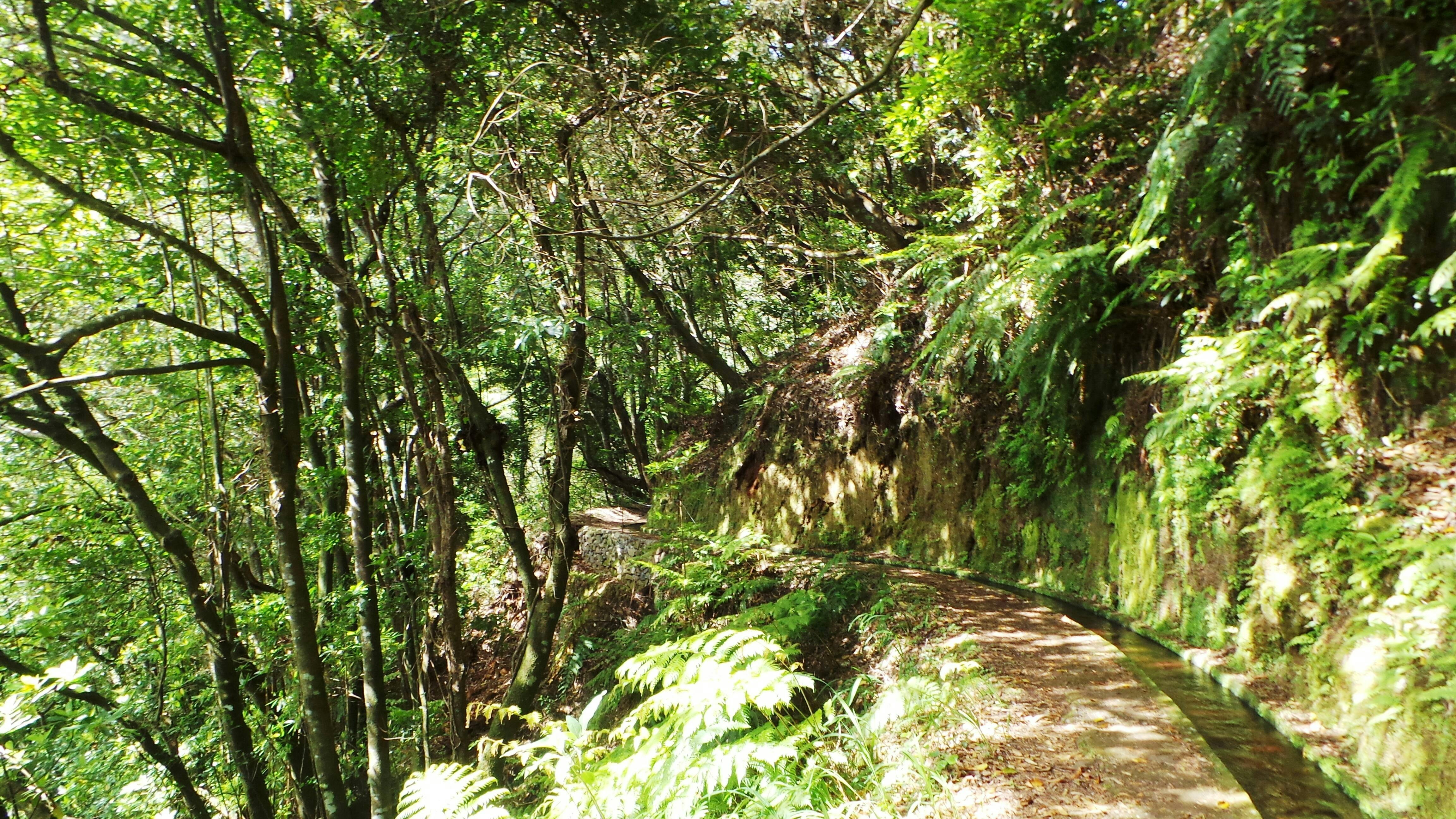 Passeggiata degli angoli nascosti