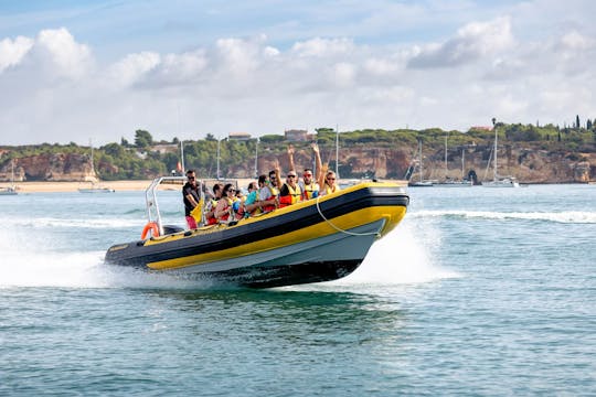 Ophelia Dolphins & Caves Speedboat Tour in motoscafo con trasporto