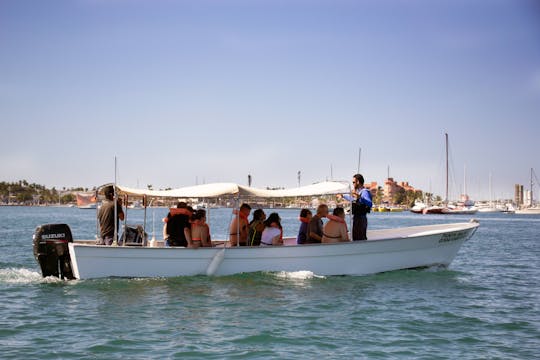 Tour con tiburones ballena en el Mar de Cortés