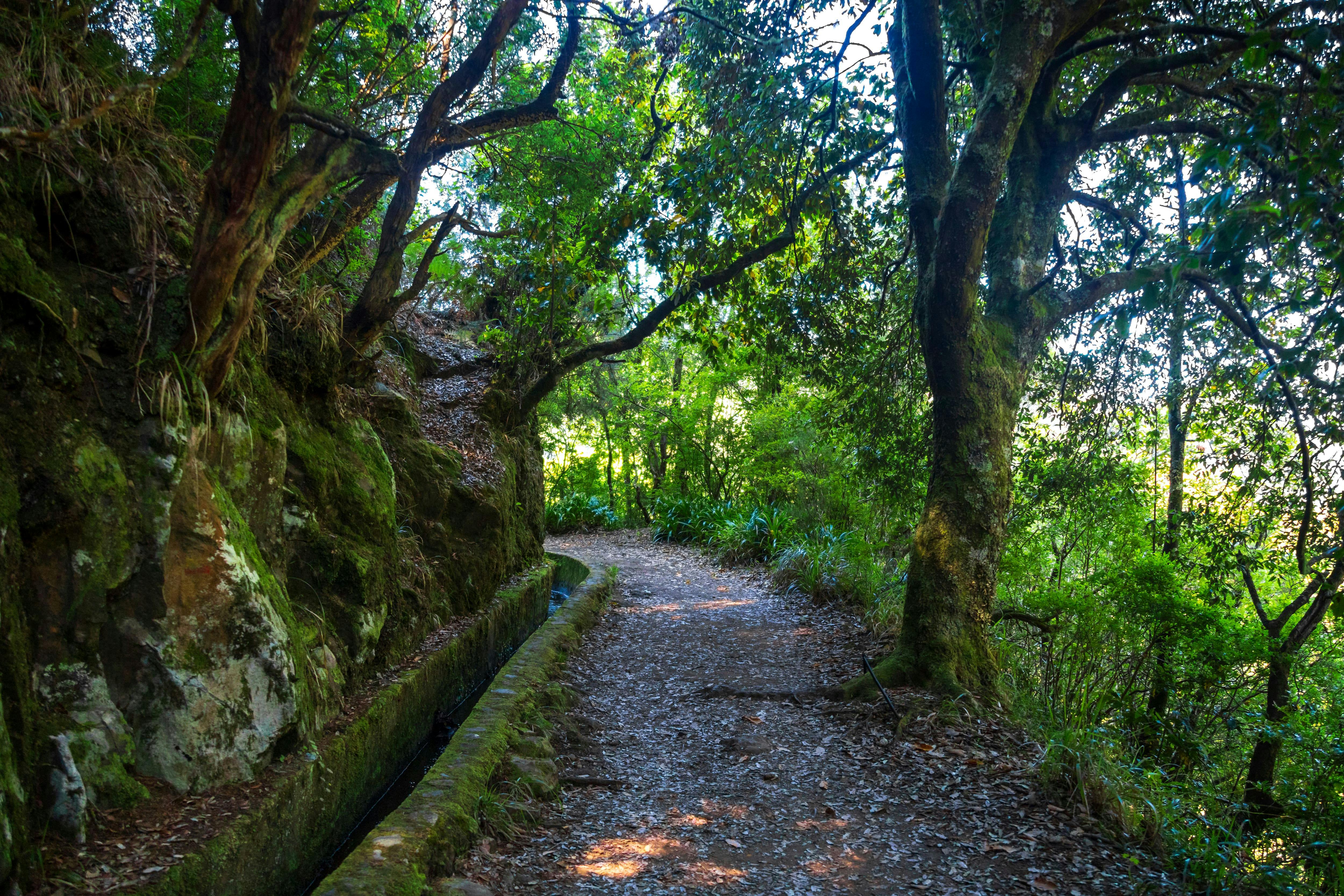 Passeggiata Ribeiro Frio