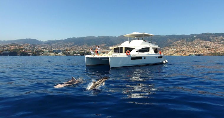 Crociera VIP di Madeira per l'osservazione di balene e delfini