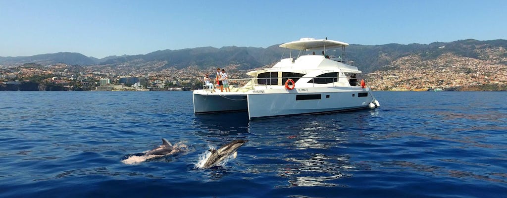 Crucero VIP de avistamiento de ballenas y delfines en Madeira