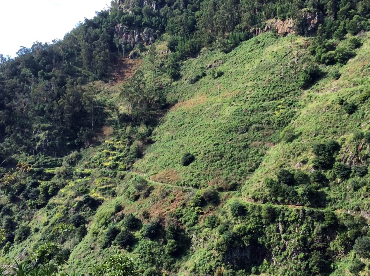 Levada do Moinho Walk from the West