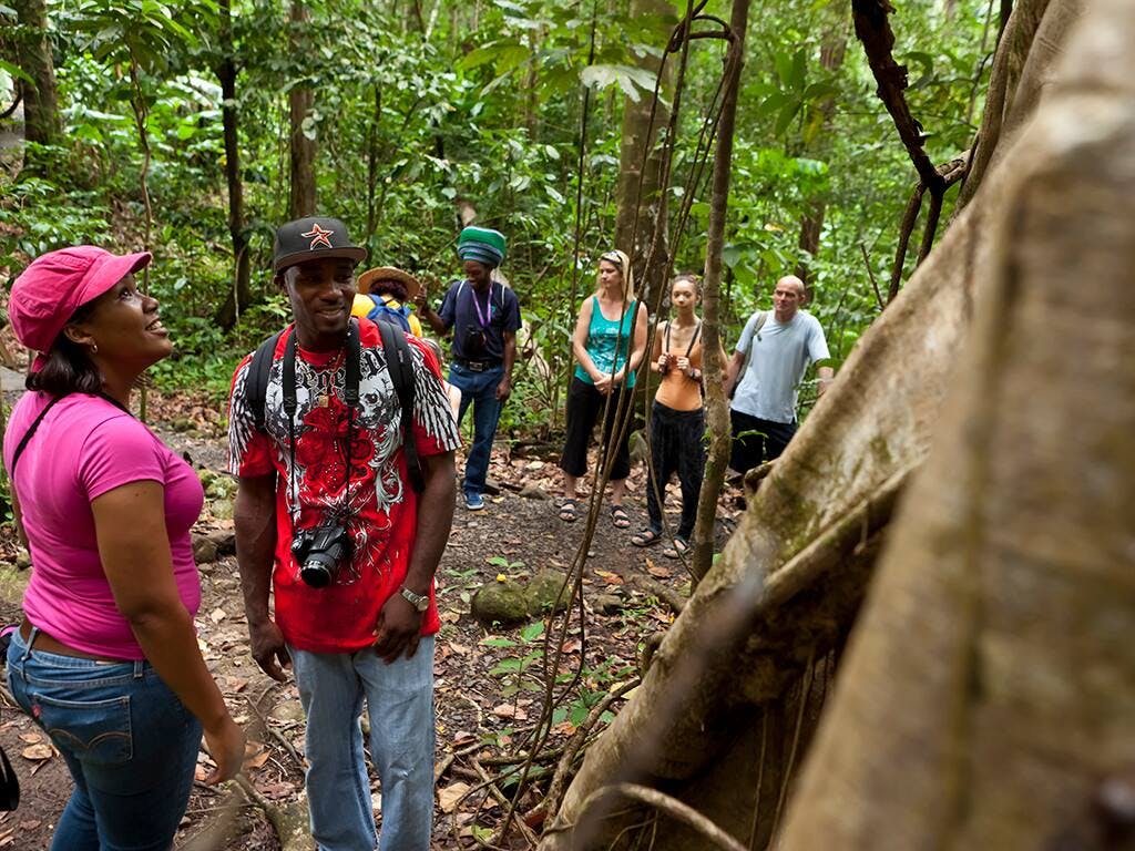 St Lucia Aerial Tram Tour