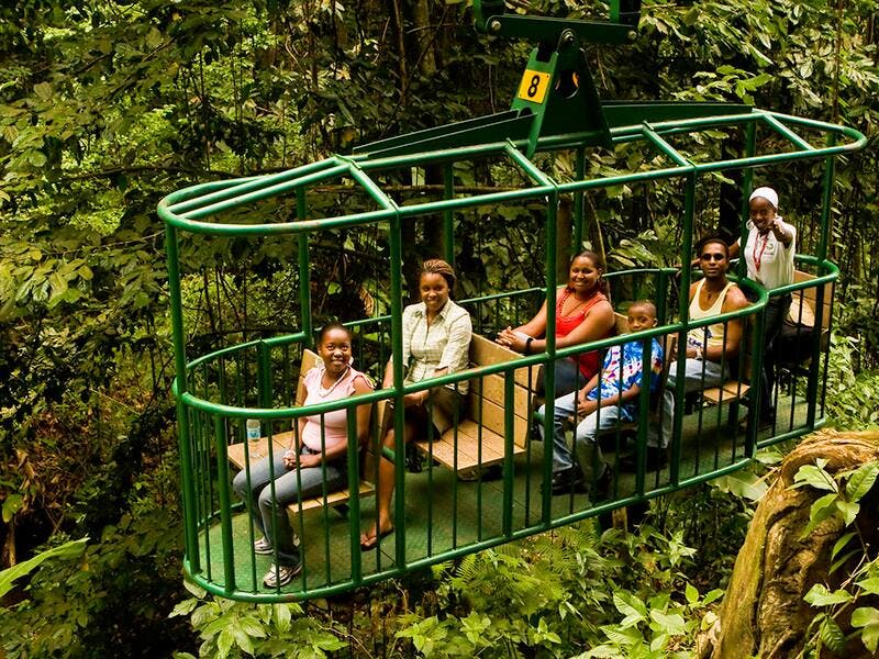 St Lucia Aerial Tram Tour