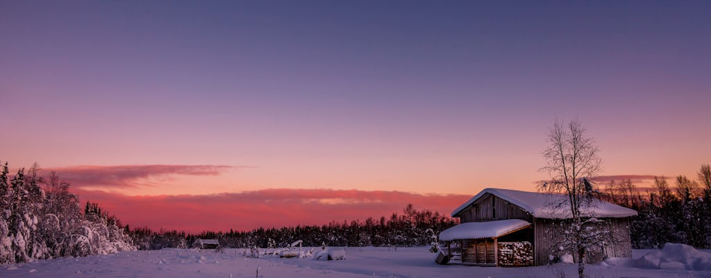 Giro in slitta trainata da renne di Rovaniemi