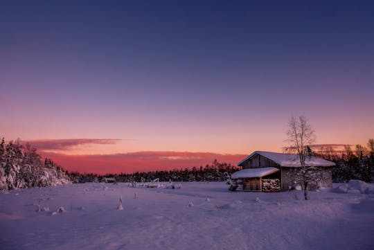 Giro in slitta trainata da renne di Rovaniemi