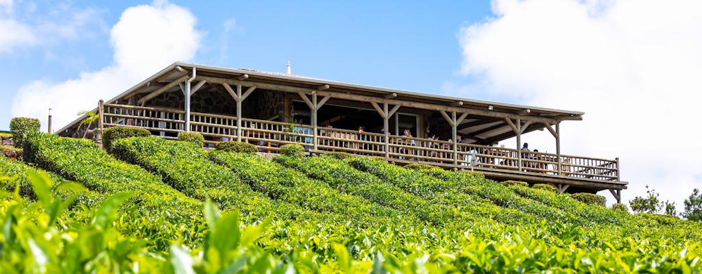 Tour della via del tè di Mauritius con la fabbrica e la piantagione di Bois Chéri